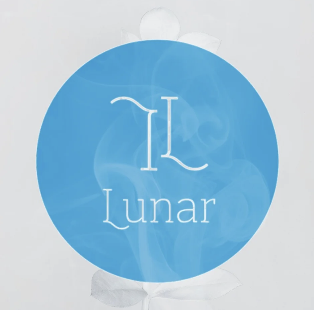 Lunar Project